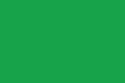 The green flag in F1: a solid green flag meaning the track is clear and racing is on