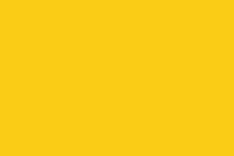 The yellow flag in F1: a solid yellow flag warning of danger ahead, no overtaking